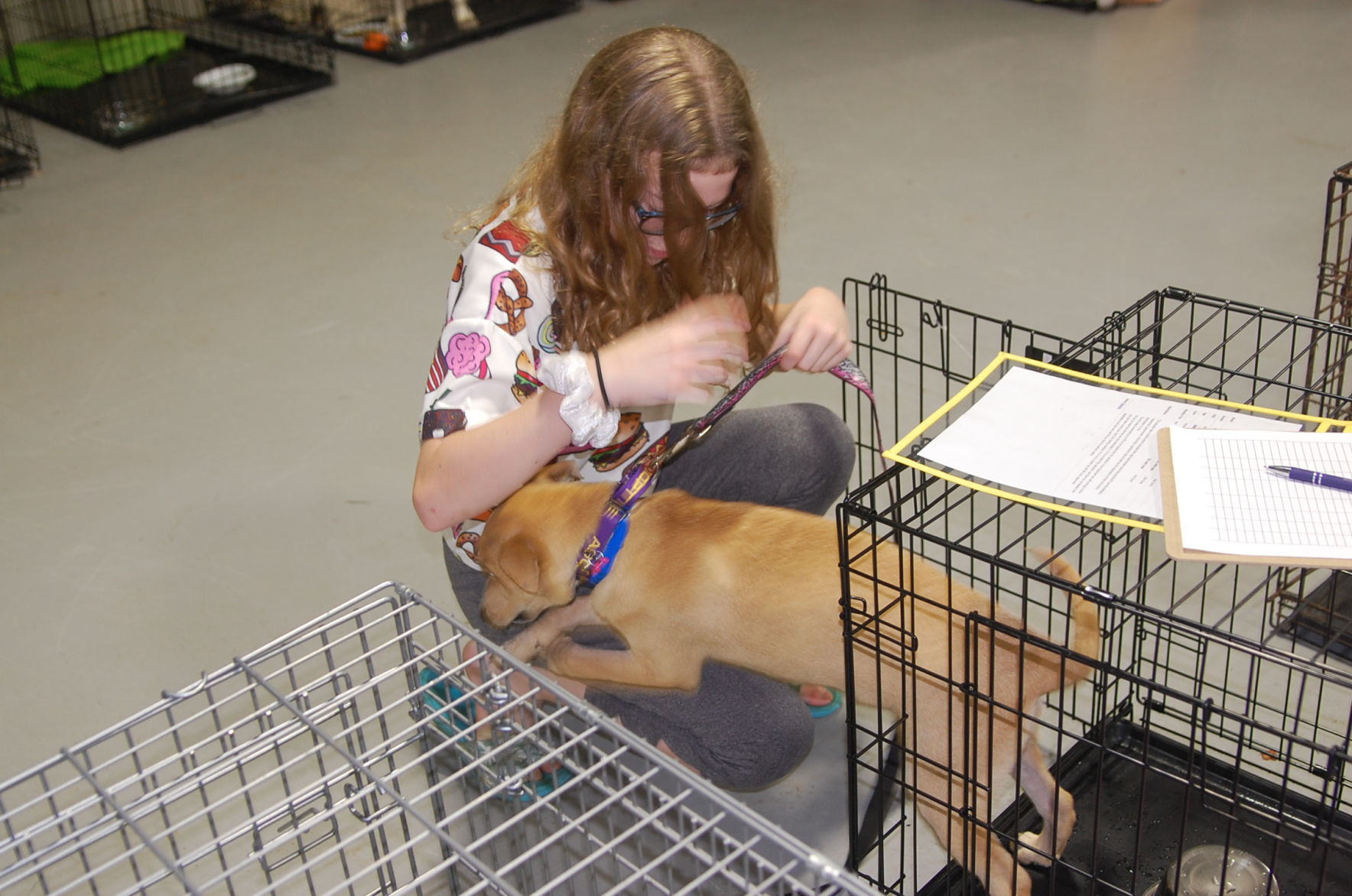 Piedmont animal rescue (16).JPG
